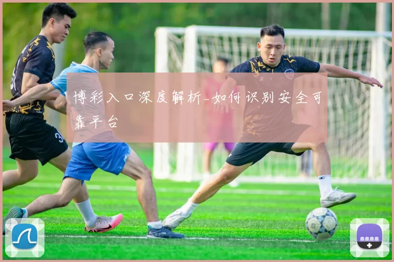 博彩入口深度解析_如何识别安全可靠平台