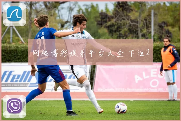 网络博彩娱乐平台大全 下注2