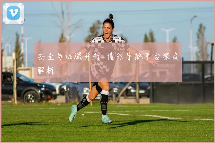 安全与机遇并行_博彩导航平台深度解析