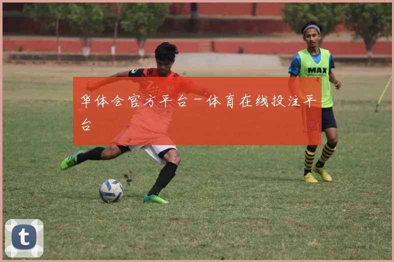 华体会官方平台 - 体育在线投注平台