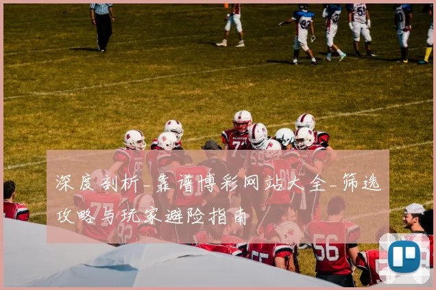 深度剖析_靠谱博彩网站大全_筛选攻略与玩家避险指南