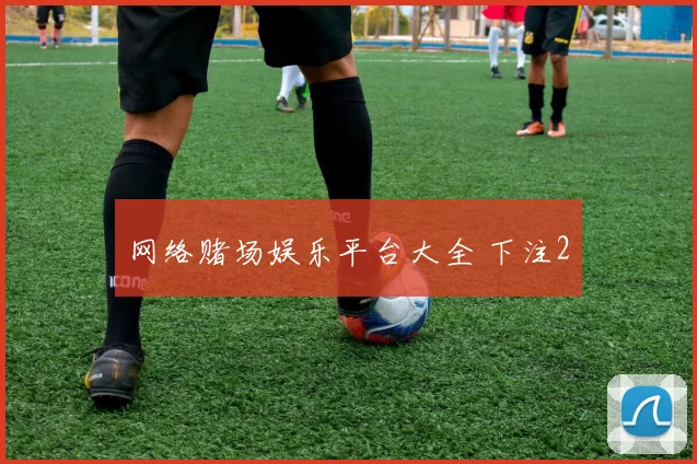 网络赌场娱乐平台大全 下注2
