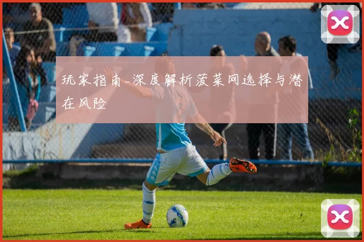 玩家指南_深度解析菠菜网选择与潜在风险