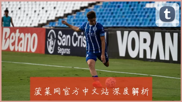 菠菜网官方中文站 深度解析