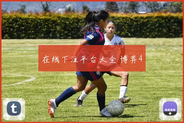 在线下注平台大全 博弈4