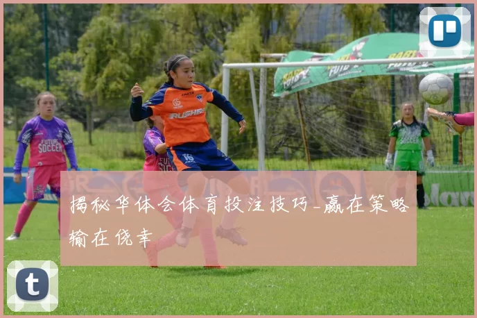 揭秘华体会体育投注技巧_赢在策略输在侥幸