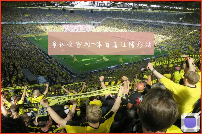 华体会官网-体育落注博彩站