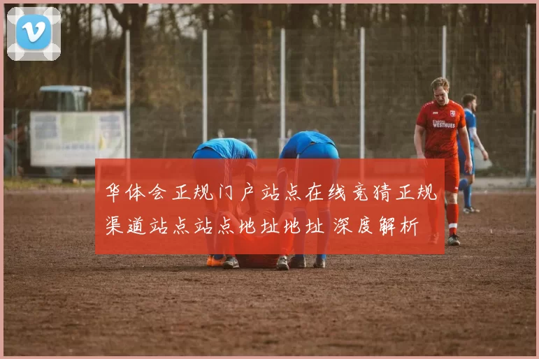 华体会正规门户站点在线竞猜正规渠道站点站点地址地址 深度解析