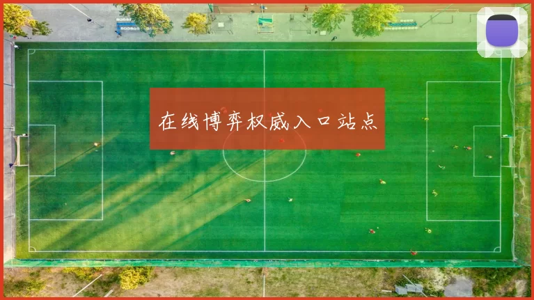 在线博弈权威入口站点