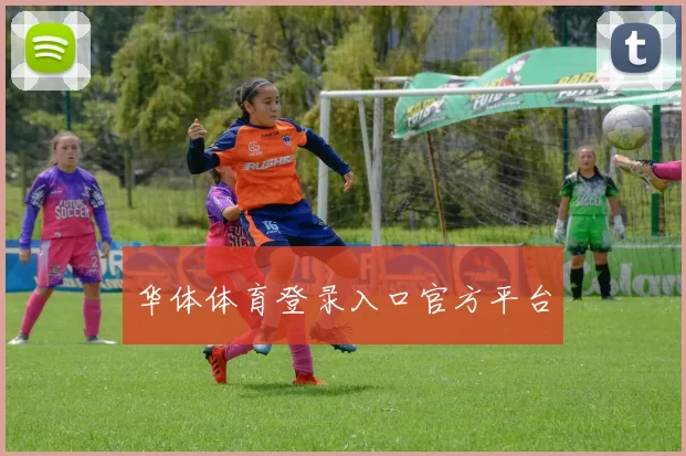 华体体育登录入口官方平台