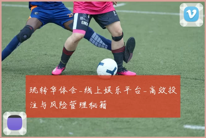 玩转华体会_线上娱乐平台_高效投注与风险管理秘籍