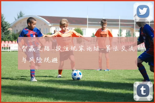 智赢之路_投注玩家论坛_算法交流与风险规避