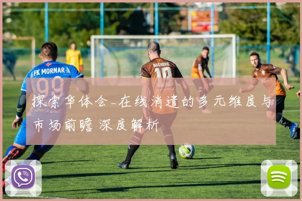 探索华体会_在线消遣的多元维度与市场前瞻 深度解析