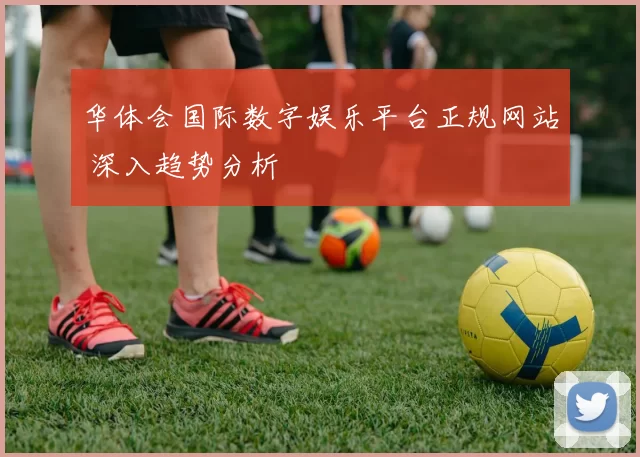 华体会国际数字娱乐平台正规网站 深入趋势分析