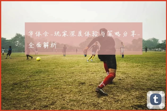 华体会_玩家深度体验与策略分享_全面解析