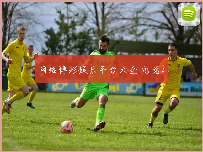 网络博彩娱乐平台大全 电竞2