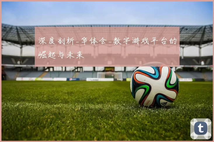 深度剖析_华体会_数字游戏平台的崛起与未来