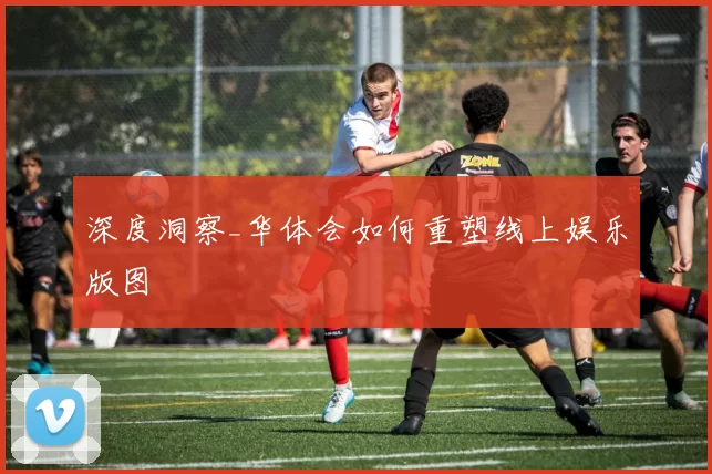 深度洞察_华体会如何重塑线上娱乐版图